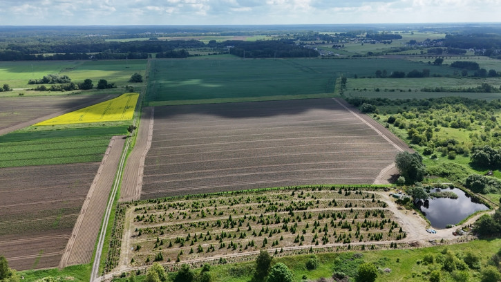 Działka Sprzedaż Goleniów 2